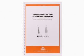 Innere Organe und Steuerungssysteme